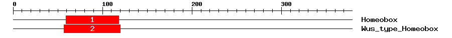 Signature Domain