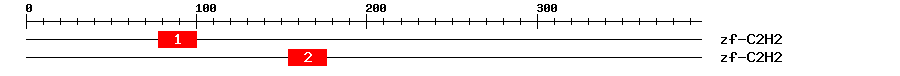 Signature Domain