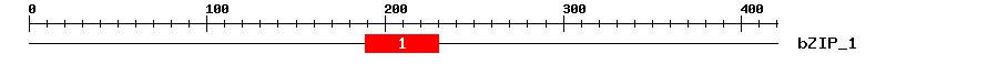 Signature Domain
