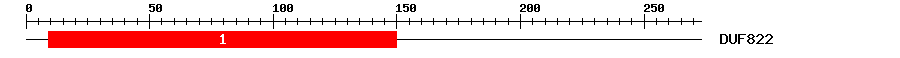 Signature Domain