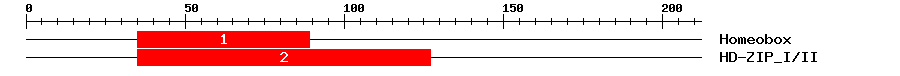 Signature Domain