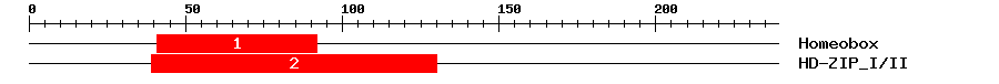 Signature Domain