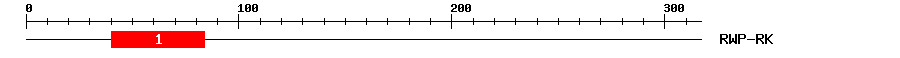 Signature Domain