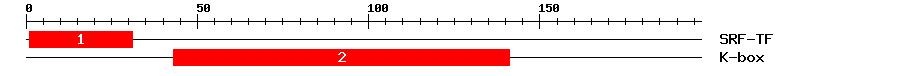 Signature Domain