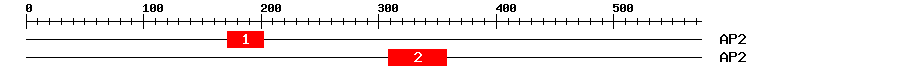 Signature Domain