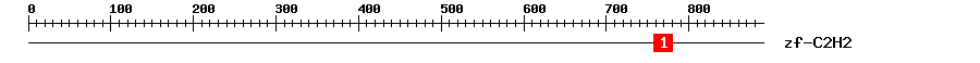 Signature Domain