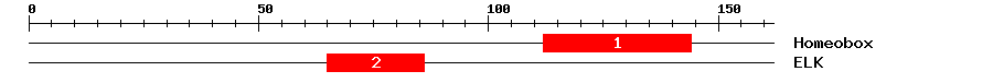 Signature Domain