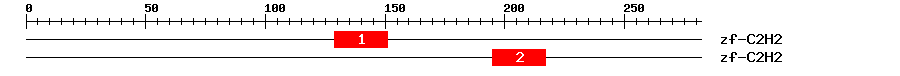 Signature Domain