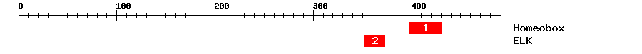 Signature Domain