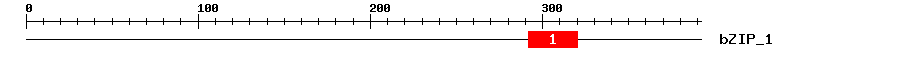 Signature Domain