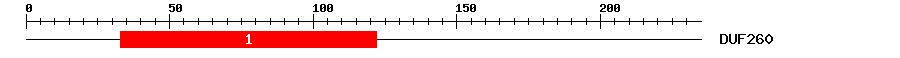 Signature Domain