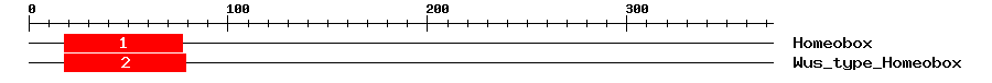 Signature Domain