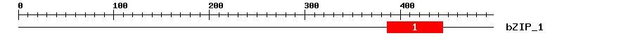 Signature Domain