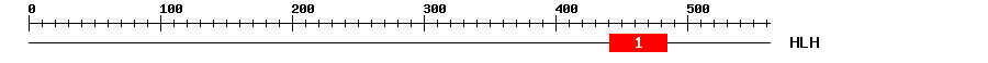 Signature Domain