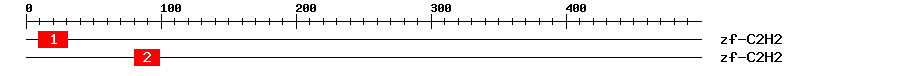 Signature Domain