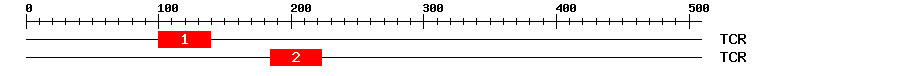 Signature Domain