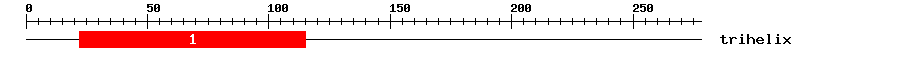Signature Domain