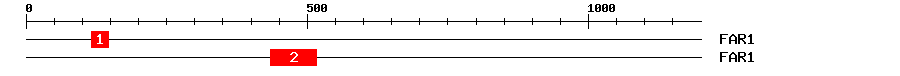 Signature Domain
