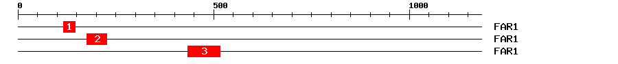 Signature Domain