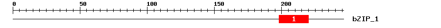 Signature Domain