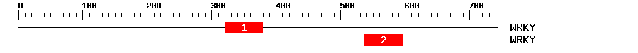 Signature Domain