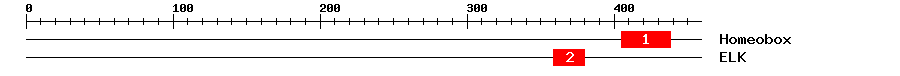 Signature Domain