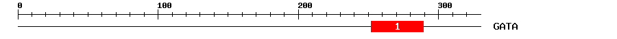 Signature Domain