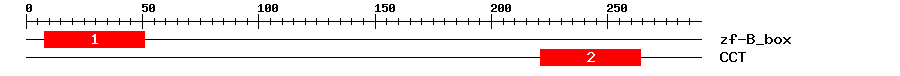 Signature Domain