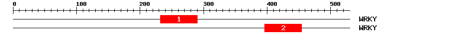 Signature Domain