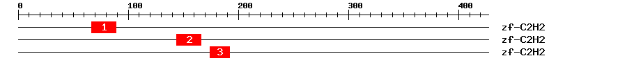 Signature Domain