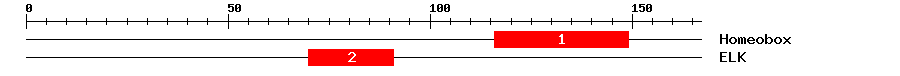 Signature Domain