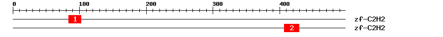 Signature Domain