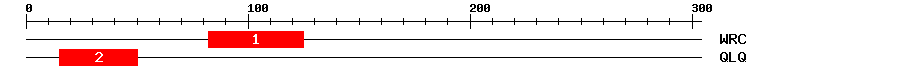 Signature Domain