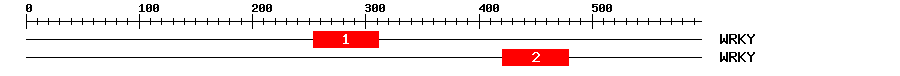 Signature Domain