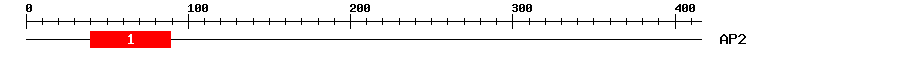 Signature Domain