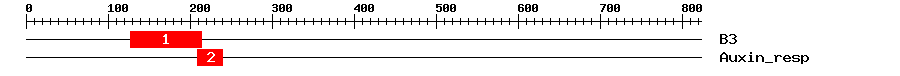 Signature Domain
