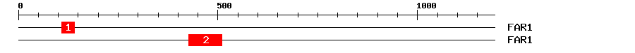 Signature Domain