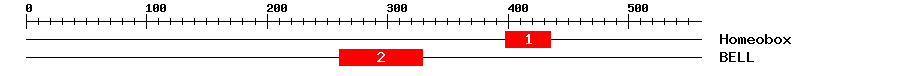 Signature Domain