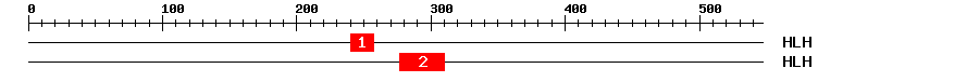 Signature Domain