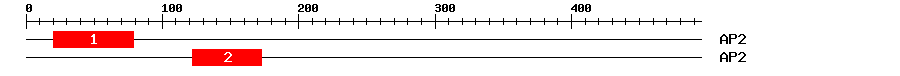 Signature Domain