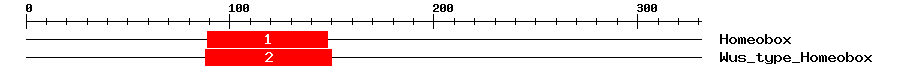 Signature Domain