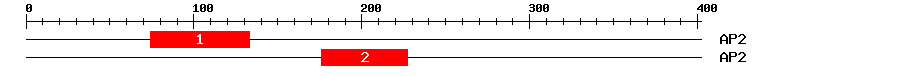Signature Domain