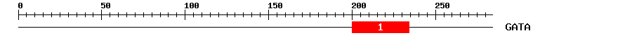 Signature Domain