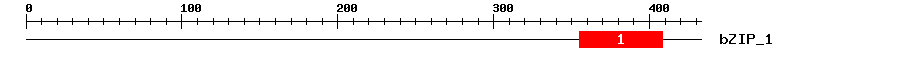 Signature Domain
