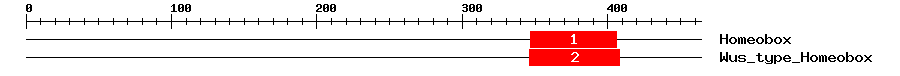Signature Domain