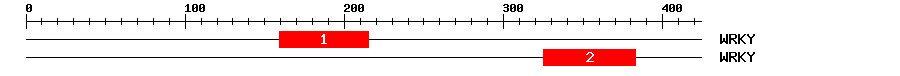 Signature Domain