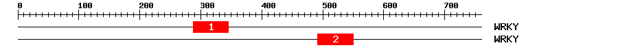 Signature Domain