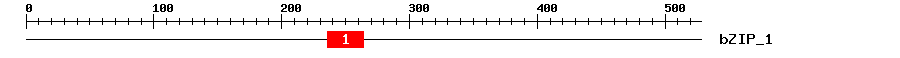 Signature Domain