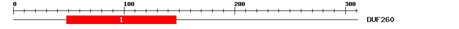 Signature Domain