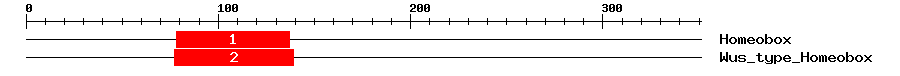 Signature Domain